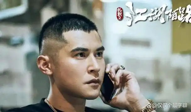 《扎职2之江湖陌路》在观众反馈方面最成功的地方就是采用了陈伟霆的