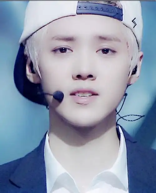 给我一张鹿晗无刘海的照片 要清楚点的