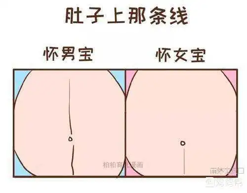 急切!生男孩的肚子"迫不及待"-第2张图片-西卡博客