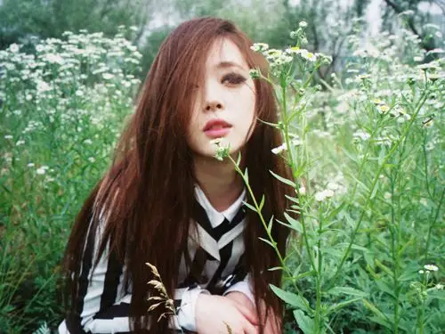 f(x),fx,崔雪莉,sulli,函数,韩国组合,redlight,红灯区,f(x)壁纸图片