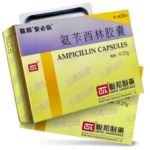 安必仙氨苄西林胶囊