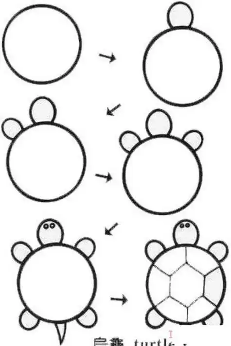 小乌龟的画法简笔画步骤-儿童简笔画大全爬行的小乌龟简笔画简单的