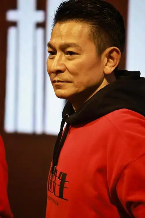 刘德华为何被称为票房毒药?