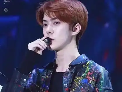 张艺兴 #边伯贤 #吴世勋 #金钟大 #exo#勋兴 色昏大型双标现场