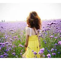 微信头像人和薰衣草【点击鼠标右键下载】