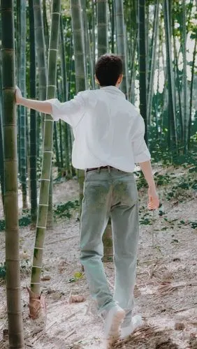 肖战竹林寻战羡 - 堆糖,美图壁纸兴趣社区