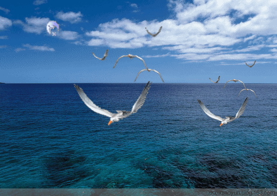 lofter for ipad —— 记录生活,发现同好