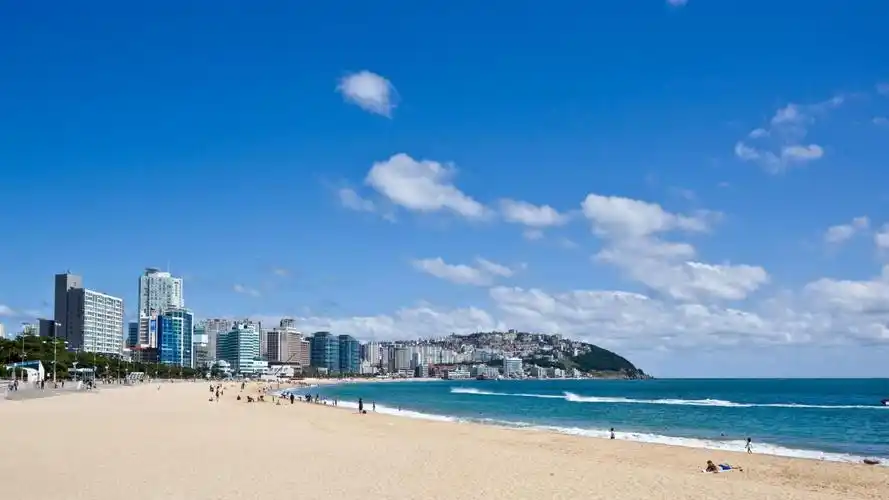 2021/2022韩国海滩度假 | booking.com