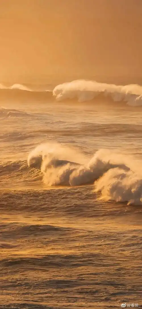 4k超高清竖屏|很火的潮图壁纸|高清1080p