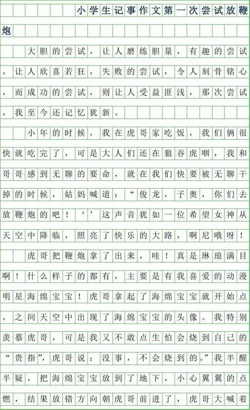 2019年小学生记事作文600字-第一次尝试放鞭炮