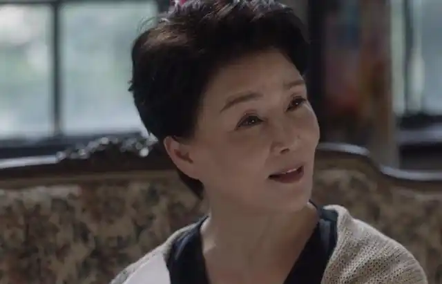 电视剧小舍得南俪妈赵娜扮演者朱茵剧照图片