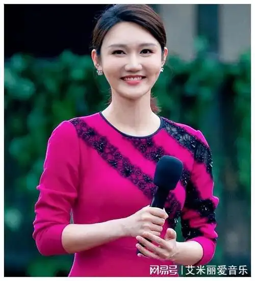 董卿|康辉|撒贝宁|央视主持人_网易订阅