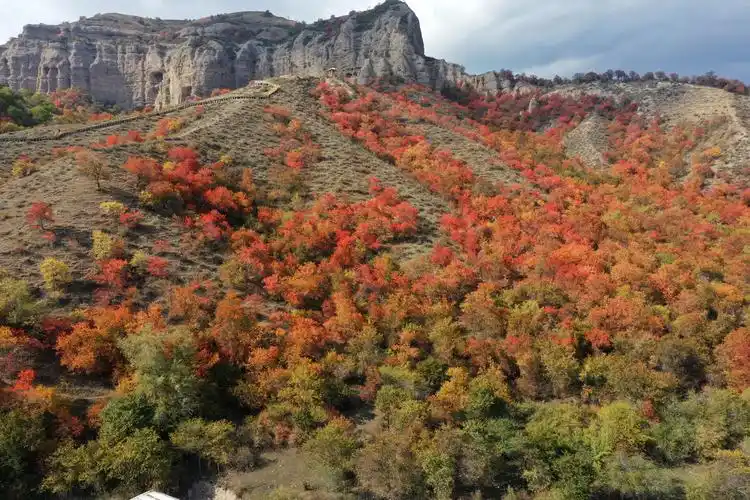 新疆霍城大西沟中华福寿山层林尽染醉晚秋