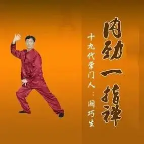 内劲一指禅第二套第一节 #百练不如一站@朱迅 - 抖音