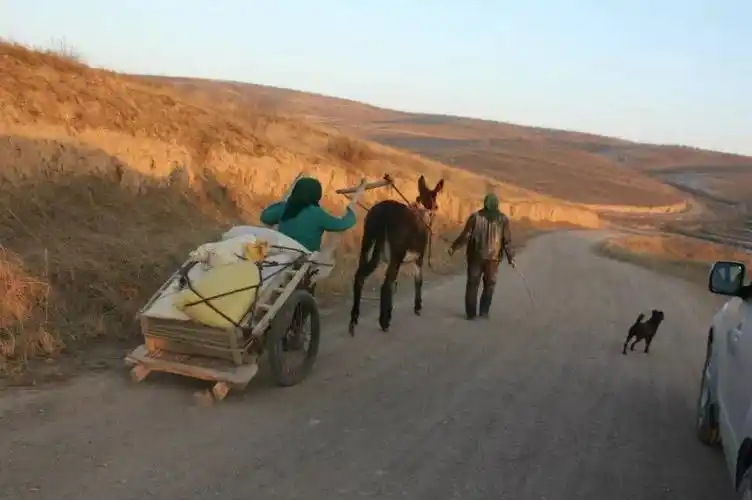 越看越亲切的农村老照片你见过几张上