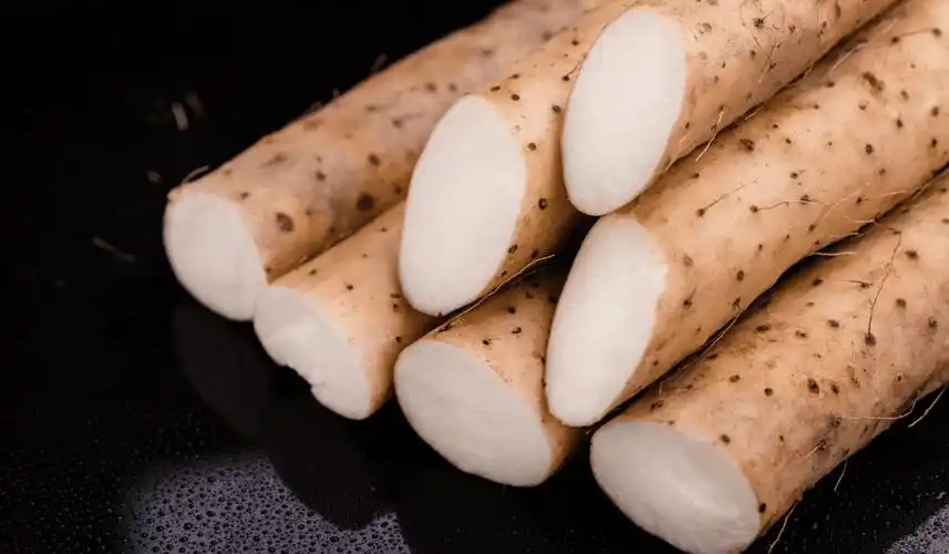 淮山(淮山是什么东西)