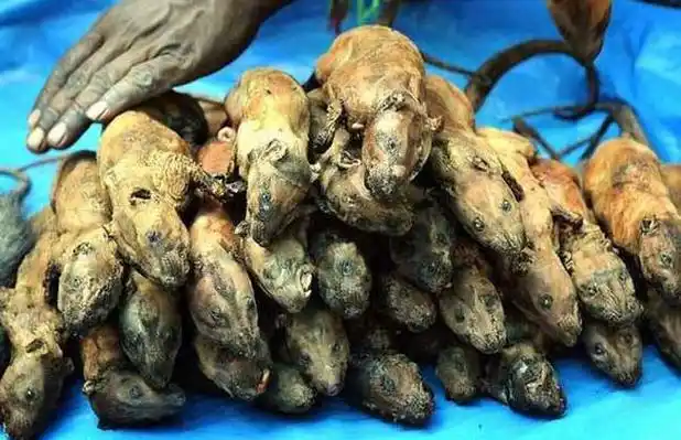 全球十大恶心食品大盘点