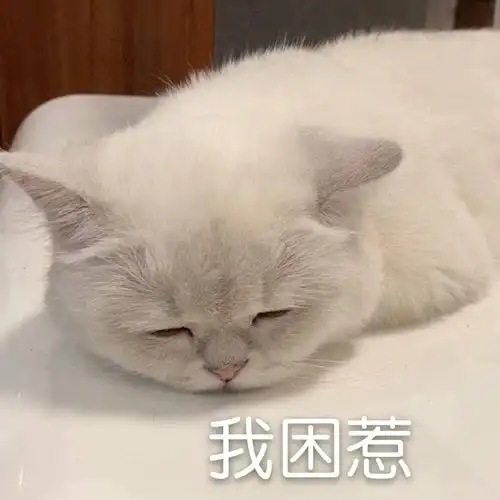可爱猫咪表情包表情自截,图源微博(要拿请评论扣一哦)