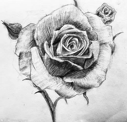 200共享分×关 键 词:少儿作品 少儿艺术 作品 书画作品 国画 素描 速