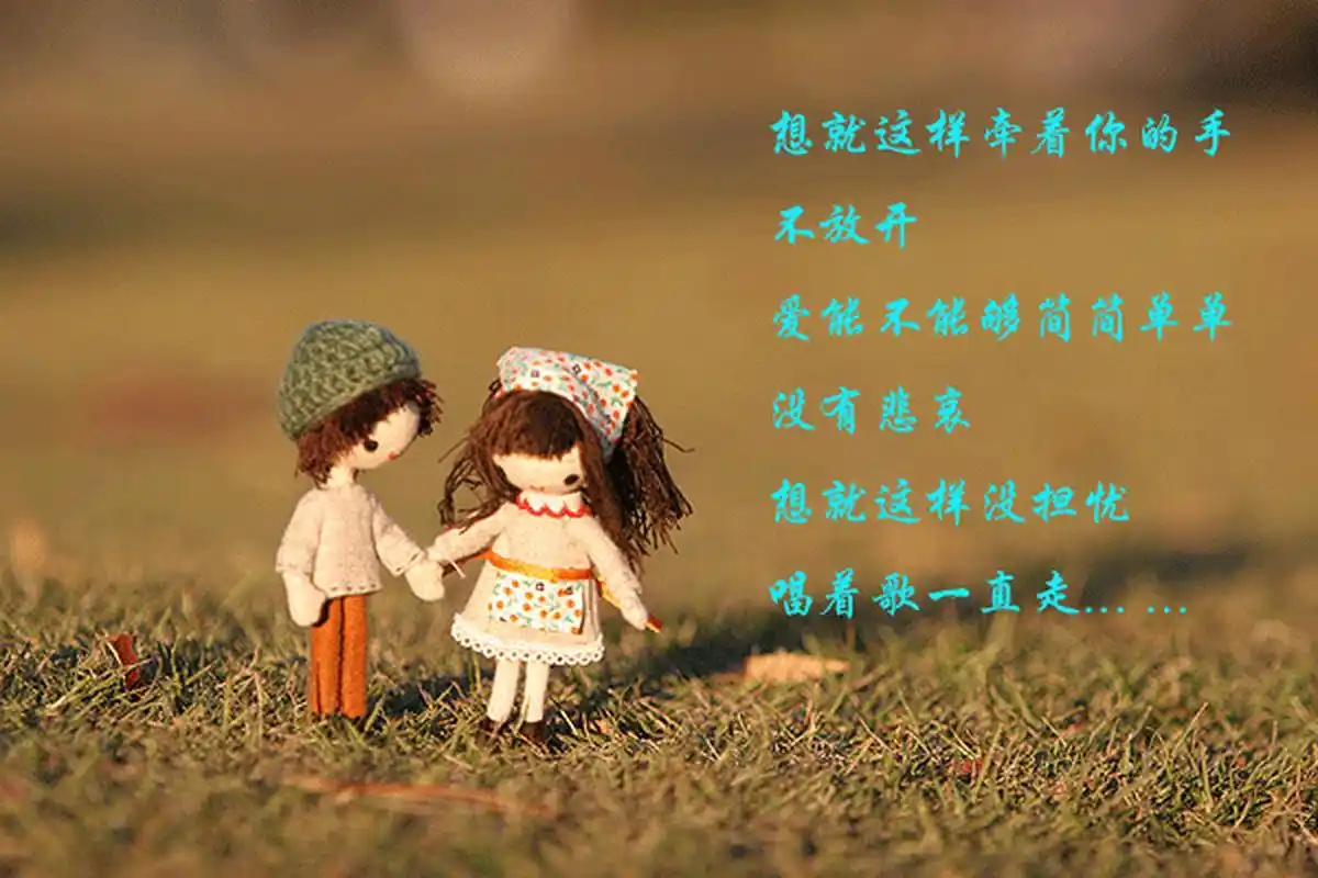 《爱的华章》   爱情,是人生中最绚烂的一抹色彩,是心灵深处最柔软的