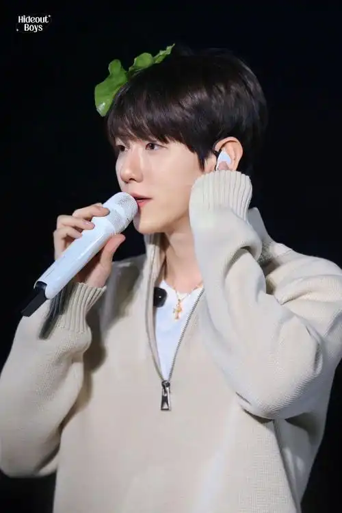 #边伯贤亚洲巡演##边伯贤#