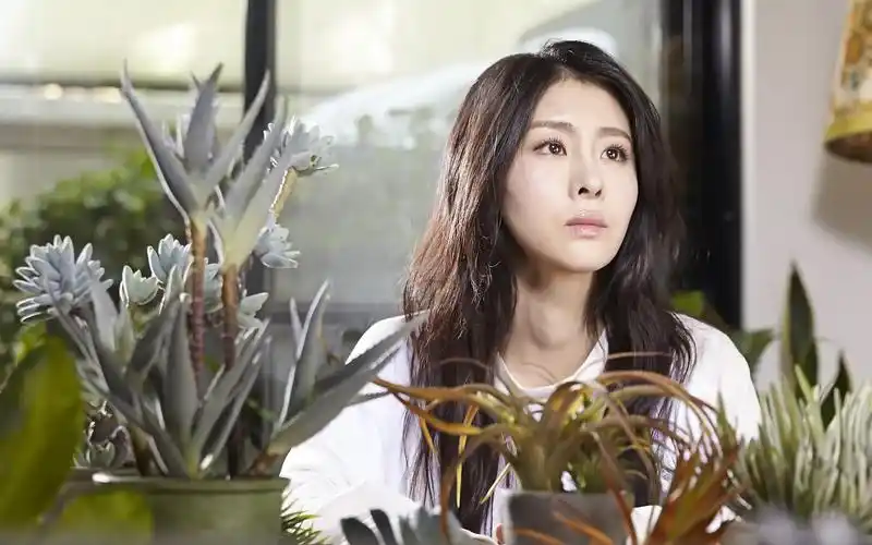 唱游天下:张碧晨一首《红玫瑰》唱响伦敦,外国评委听得津津有味