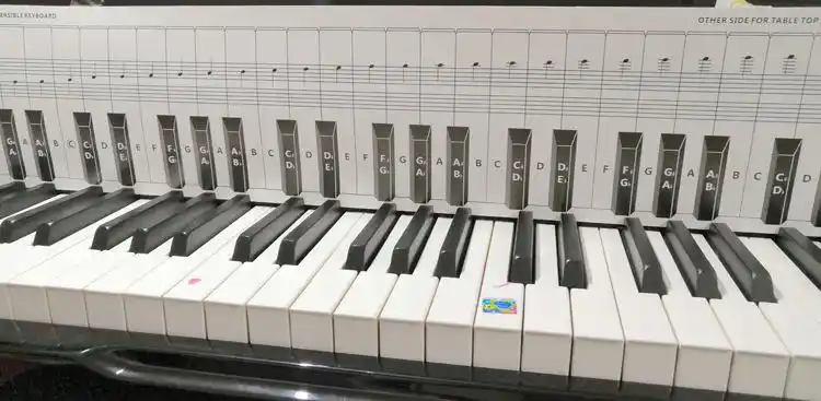 传美批发仿真88键钢琴键盘练习纸 纸质1比1手卷钢琴五线谱对照图