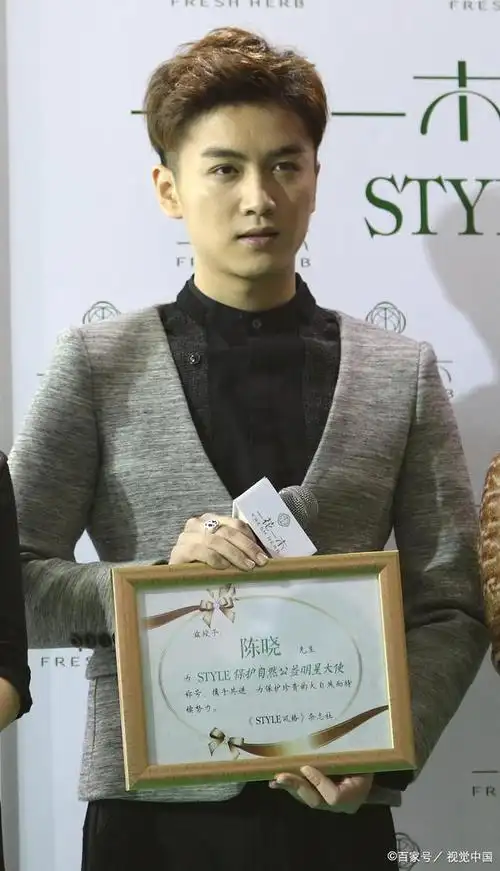 陈晓文笔如画!新小说连载上线,粉丝齐声欢呼:晓作家再次降临!