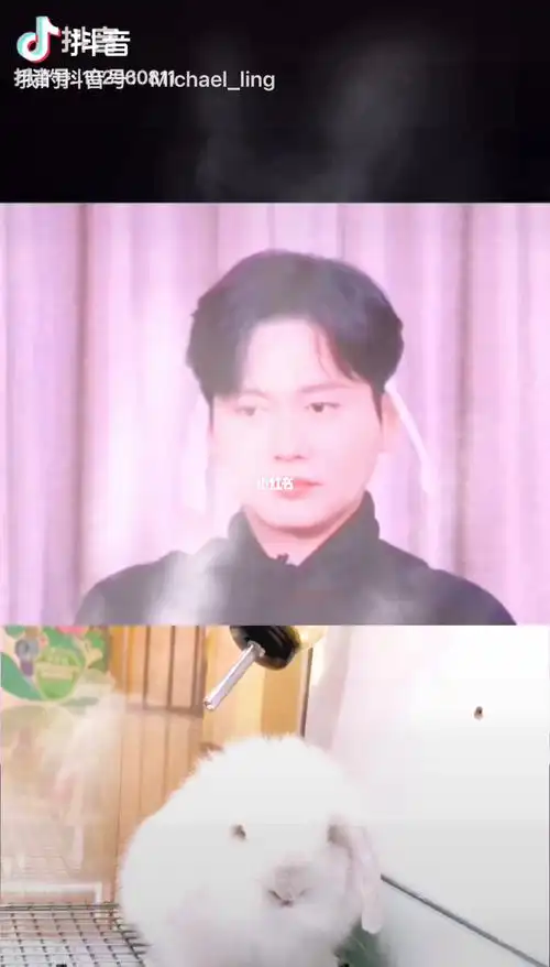 孟鹤堂 垂耳兔_垂耳兔_孟鹤堂_娱乐_明星娱乐资讯