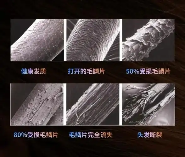 毛鳞片根本没有得到真正的修复!而飞舶顺发梳拥有一个其他梳子所没