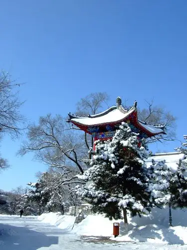 吉林市 雪后北山