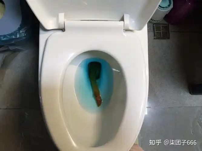 你们见过最大的屎是什么样的