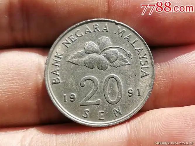 马来西亚林吉特20