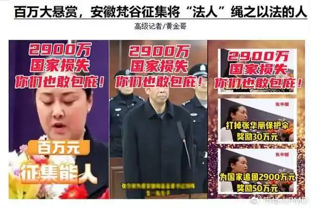 百万大悬赏,安徽梵谷征集将"法人"绳之以法的人