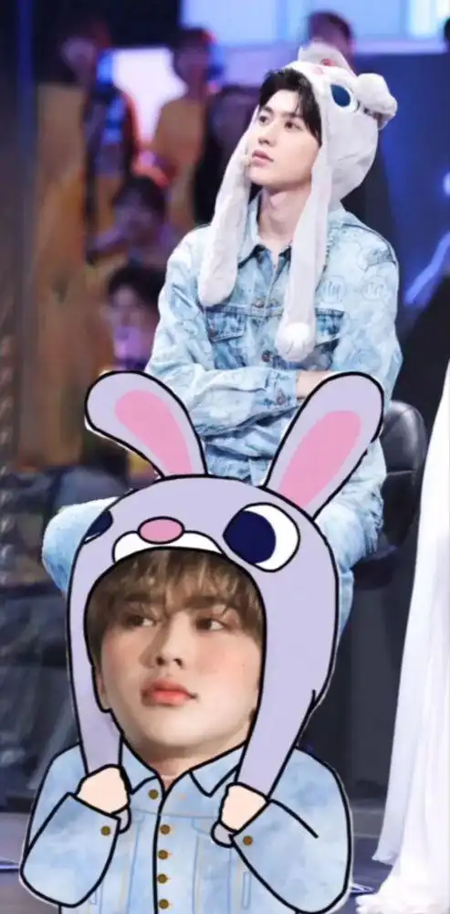 蔡徐坤手机壁纸【131】【猪咪&俊渣】