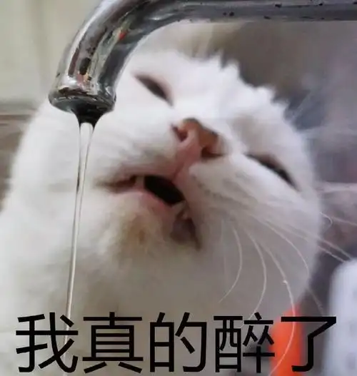 萌宠喵星人我真的醉了难受呆萌可爱gif动图_动态图_表情包下载_soogif