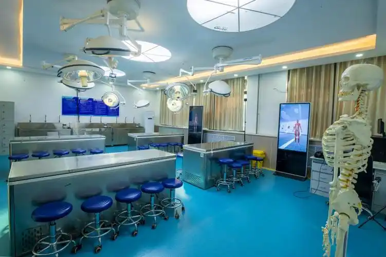 人体解剖学虚拟仿真实验室-黄河科技学院医学院