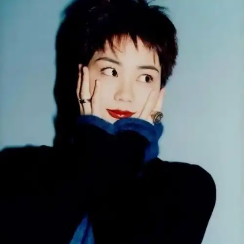 王菲小公主的驸马爷