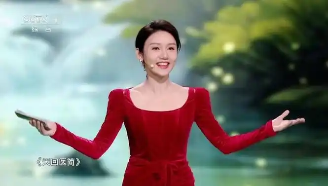 龙洋持续被央视重用又有新节目开播连鲁健和王端端都成了陪衬