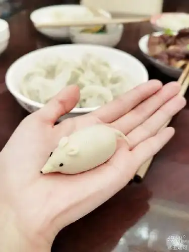 平台上分享了自己亲手包的老鼠形状饺子,并配文:猫姐包的老鼠饺子ok不