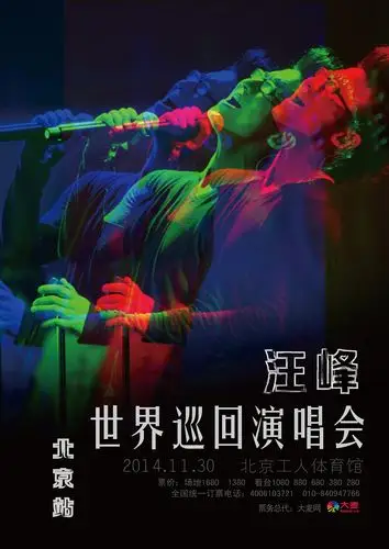 汪峰演唱会海报