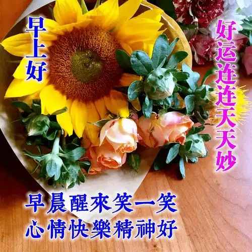 夏季早晨好问候语祝福语表情图片特好看早晨好漂亮图片带字