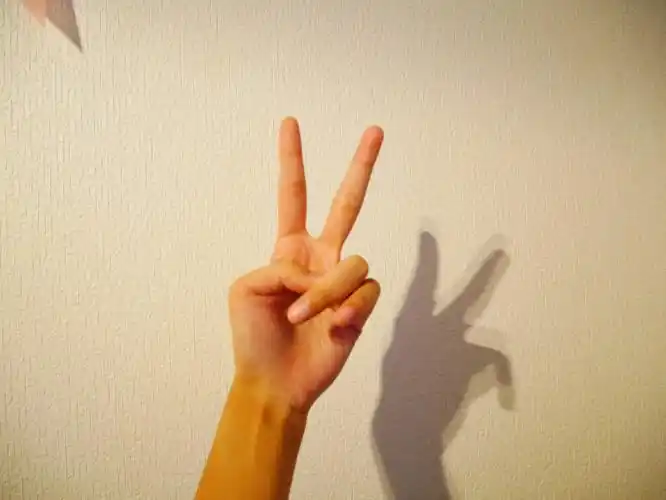 拍照最常用的剪刀手手势图片第3张