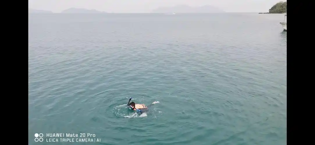 在大海里学游泳