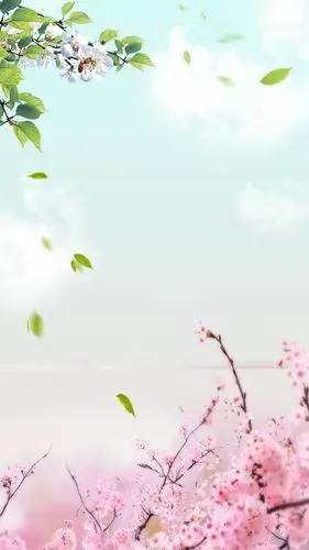 精美桃花h5背景