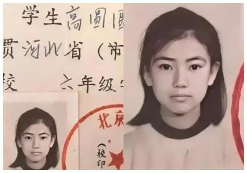 高圆圆曝小学证件照浓眉大眼长相清秀网友从小美到大
