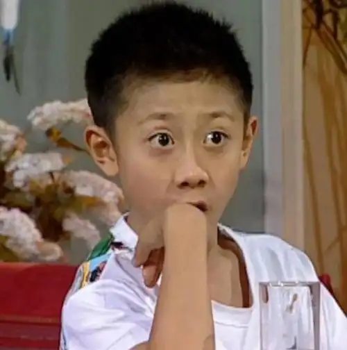 中国的小童星有哪些(中国全部童星的名单)-c5街拍网