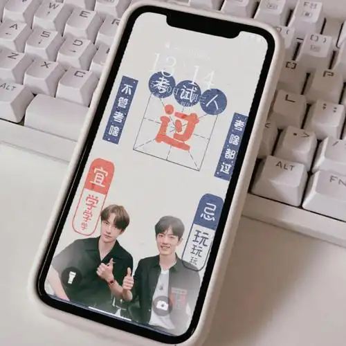 逢考必过05#肖战王一博  #锁屏壁纸  #壁纸  #博肖  #高清壁纸