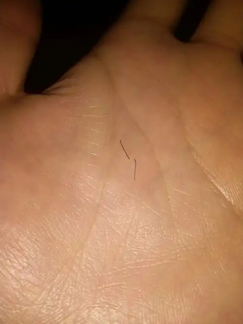 20天左右疯狂的脱落期,掉发根部是软软的,总感觉毛