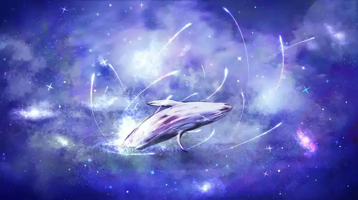 鲸鱼星空